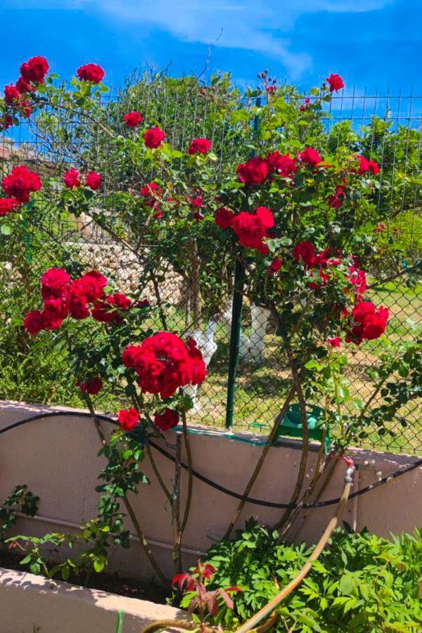 Artemis Superb 2 Bedroom Apartment 700 M Away From The Beach Minia Exteriör bild