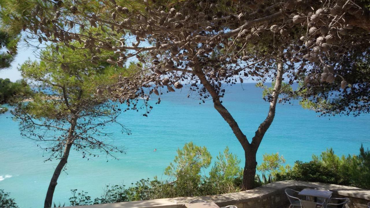 Artemis Superb 2 Bedroom Apartment 700 M Away From The Beach Minia Exteriör bild